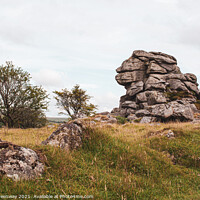 Buy canvas prints of 'Lion' Rock Tor, Dartmoor, Devon by Peter Greenway