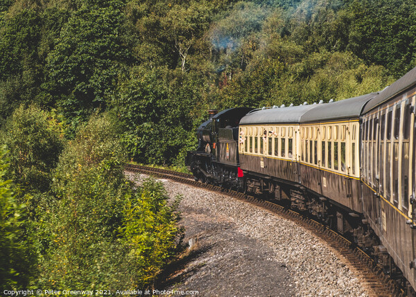 GWR Steam Train Paignton, Devon England Picture Board by Peter Greenway