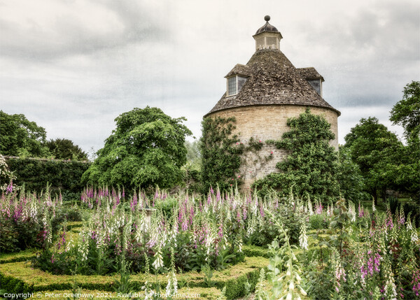 Foxgloves & Dovecote In The Walled Garden At Rouse Picture Board by Peter Greenway