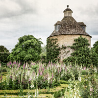 Buy canvas prints of Foxgloves & Dovecote In The Walled Garden At Rouse by Peter Greenway