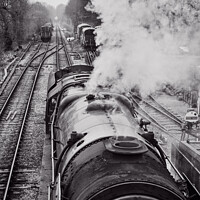 Buy canvas prints of Vintage Steam Train from above - Watercress Railwa by Peter Greenway
