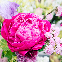 Buy canvas prints of Peony Floral Arrangement Centrepiece by Peter Greenway
