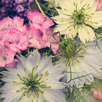 Buy canvas prints of Floral Arrangement Featuring Love-In-A-Mist Flowers by Peter Greenway
