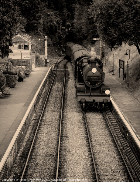 Steam Train & Carriages Arriving At A Quaint English Railway Station Picture Board by Peter Greenway