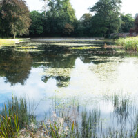 Buy canvas prints of English Country House Garden Lake by Peter Greenway