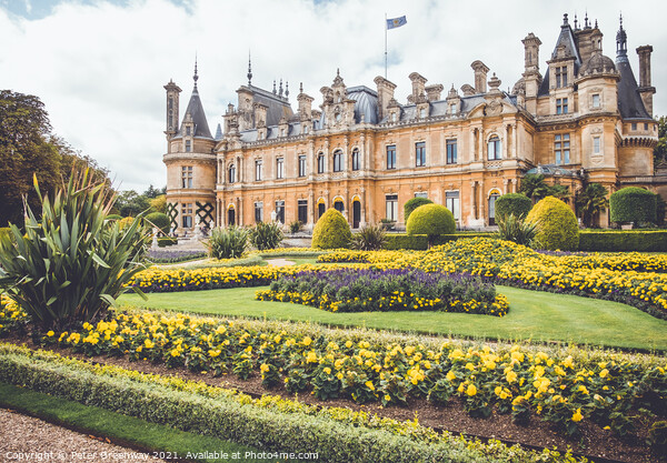 The Parterre At The Manor In Waddesdon In Full Bloom Picture Board by Peter Greenway