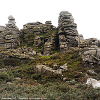 Buy canvas prints of Wild White Horse Grazing On 'Hound' Tor On Dartmoor In Devon by Peter Greenway
