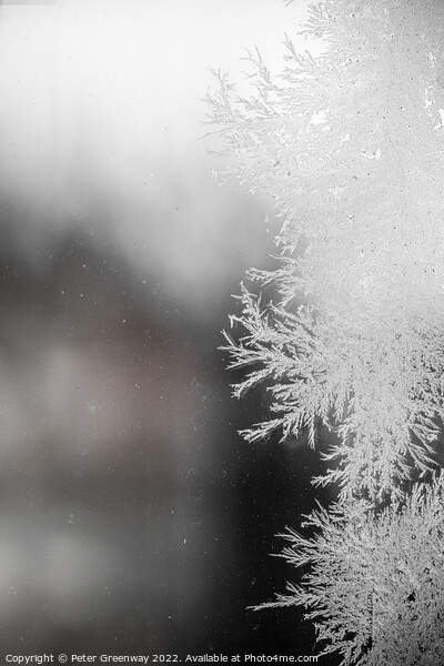 Frost Fractal Patterns On A Pane Of Glass After A Haw Frost Picture Board by Peter Greenway