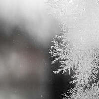 Buy canvas prints of Frost Fractal Patterns On A Pane Of Glass After A Haw Frost by Peter Greenway