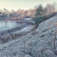 Buy canvas prints of Frosty Morning At Blenheim    by Peter Greenway