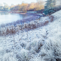 Buy canvas prints of A Frosty Morning On The Blenheim Estate In Oxfordshire  by Peter Greenway