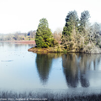 Buy canvas prints of The Island On The Lake On A Frosty Morning On The Blenheim Estat by Peter Greenway
