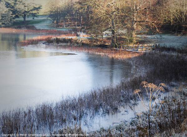 A Frosty Morning On The Blenheim Estate In Oxfordshire  Picture Board by Peter Greenway