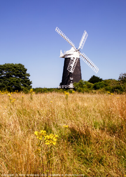 The Tower Windmill at Burnham Overy Staithe, Norfolk Picture Board by Peter Greenway