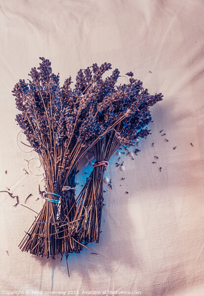 Bunches Of Dried Lavender Picture Board by Peter Greenway
