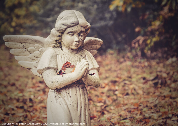 Graveside Angel at The Denson Landing Cemetery, Tennessee Picture Board by Peter Greenway