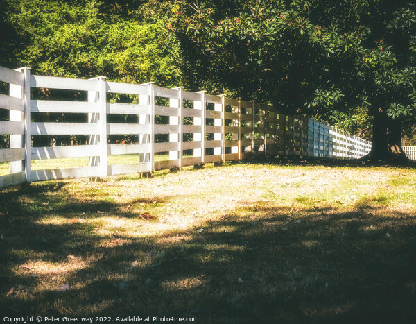 19th Century Plantation Fencing In Tennessee Picture Board by Peter Greenway