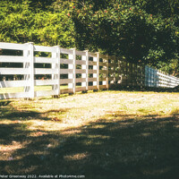 Buy canvas prints of 19th Century Plantation Fencing In Tennessee by Peter Greenway