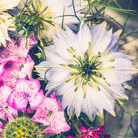 Buy canvas prints of Floral Arrangement Featuring Love-In-A-Mist Flower by Peter Greenway