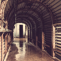 Buy canvas prints of Abandonned World War 2 Portsdown Tunnels In Portsmouth    by Peter Greenway