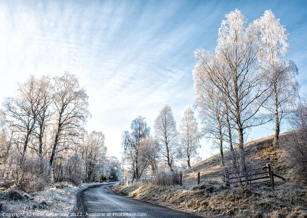 Frozen Trees On The Roadside In The Scottish Highlands Picture Board by Peter Greenway