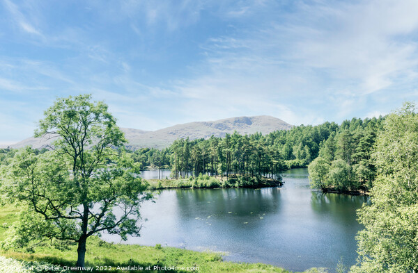 Tarn Hows In The Lake District - View Over The Lake Picture Board by Peter Greenway