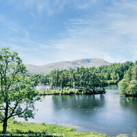 Buy canvas prints of Tarn Hows In The Lake District - View Over The Lake by Peter Greenway