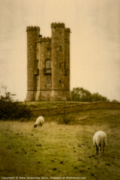 Grazing Sheep At Broadway Tower, Worchestershire Picture Board by Peter Greenway