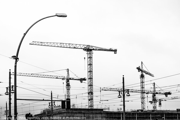 Cranes On A Building Site In Berlin Picture Board by Peter Greenway