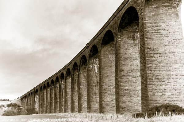 The Naim Railway Viaduct Between Daviot & Culloden, Scotland Picture Board by Peter Greenway