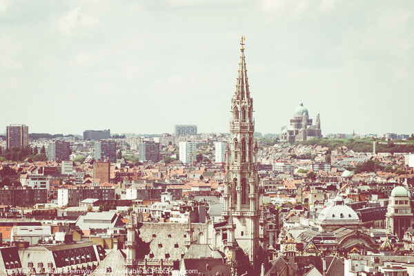 The Rooftops & Skyline Of The City Of Brussels, Be Picture Board by Peter Greenway