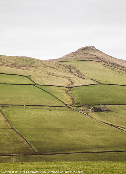 A Lonely Farm Barn In the Rolling Hills of the Peak District Picture Board by Peter Greenway