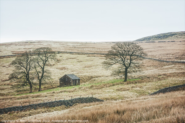 A Lonely Farm Barn In The Depths Of Winter In The  Picture Board by Peter Greenway