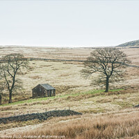 Buy canvas prints of A Lonely Farm Barn In The Depths Of Winter In The  by Peter Greenway
