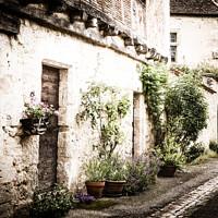 Buy canvas prints of Pots Of Plants Outside A Residential Street In Medieval Issigeac by Peter Greenway