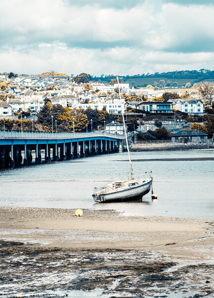 Boats beached on the Teign River at low tide at Shaldon, Devon  Picture Board by Peter Greenway