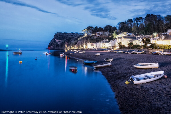 Shaldon Beach At Night Picture Board by Peter Greenway