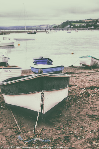 Boats Beached At Low Tide On Teignmouth 'Back Beach' In Devon Picture Board by Peter Greenway
