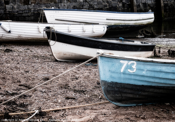 Boats Beached At Low Tide On Teignmouth 'Back Beach' In Devon Picture Board by Peter Greenway