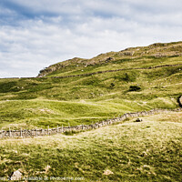 Buy canvas prints of Dry Stone Wall Running Up The Hillside At The Honiston Pass In The Lake District by Peter Greenway