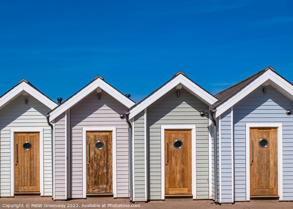 Iconic Beach Huts On The Seafront At Shaldon, Devon Picture Board by Peter Greenway