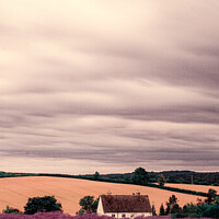 Buy canvas prints of Cotswold Cottage At The Lavender Fields At Snowshill, Worcesters by Peter Greenway