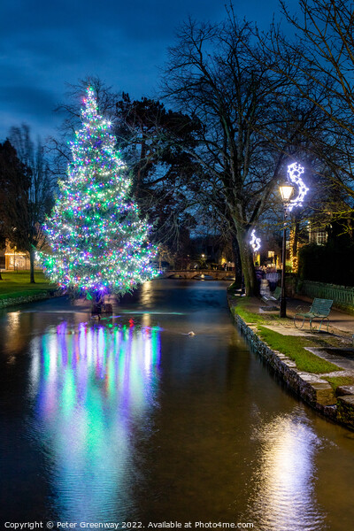 The Christmas Tree In The River At Bourton-on-the-Water Picture Board by Peter Greenway
