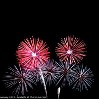 Buy canvas prints of Fireworks At The British Firework Championships by Peter Greenway