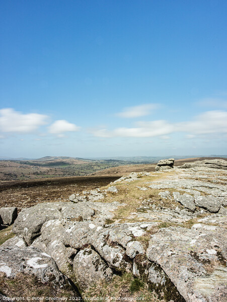 Haytor Tor On Dartmoor, Devon On A Late Spring Day Picture Board by Peter Greenway