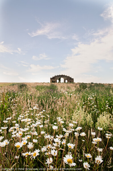 The Rousham Eyecatcher Folly ( Faux Ruin ) On A Summers Evening Picture Board by Peter Greenway