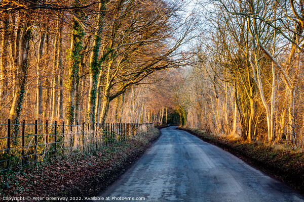 The Road To Chastleton House At Sunset Picture Board by Peter Greenway