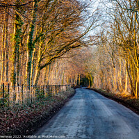 Buy canvas prints of The Road To Chastleton House At Sunset by Peter Greenway