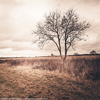 Buy canvas prints of The Rural Oxfordshire Countryside by Peter Greenway