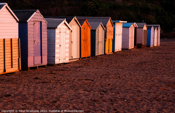 Beach Huts On Teignmouth's Back Beach At Sunset Picture Board by Peter Greenway
